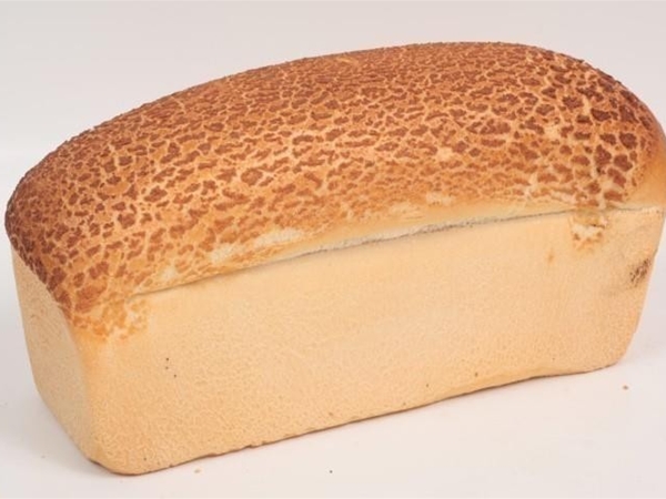 Witbrood tijger
